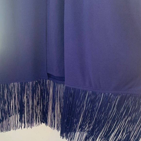 NWT Royal Blue Chicos Fringed-Hem Dress, Size 1 (comparable to small or 4) - Picture 8 of 15